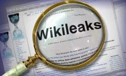 Wikileaks_Loupe.jpg